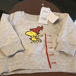 Peanuts Infant Gray Charlie Brown Christmas Woodstock Sweatshirt Top 6-9mos